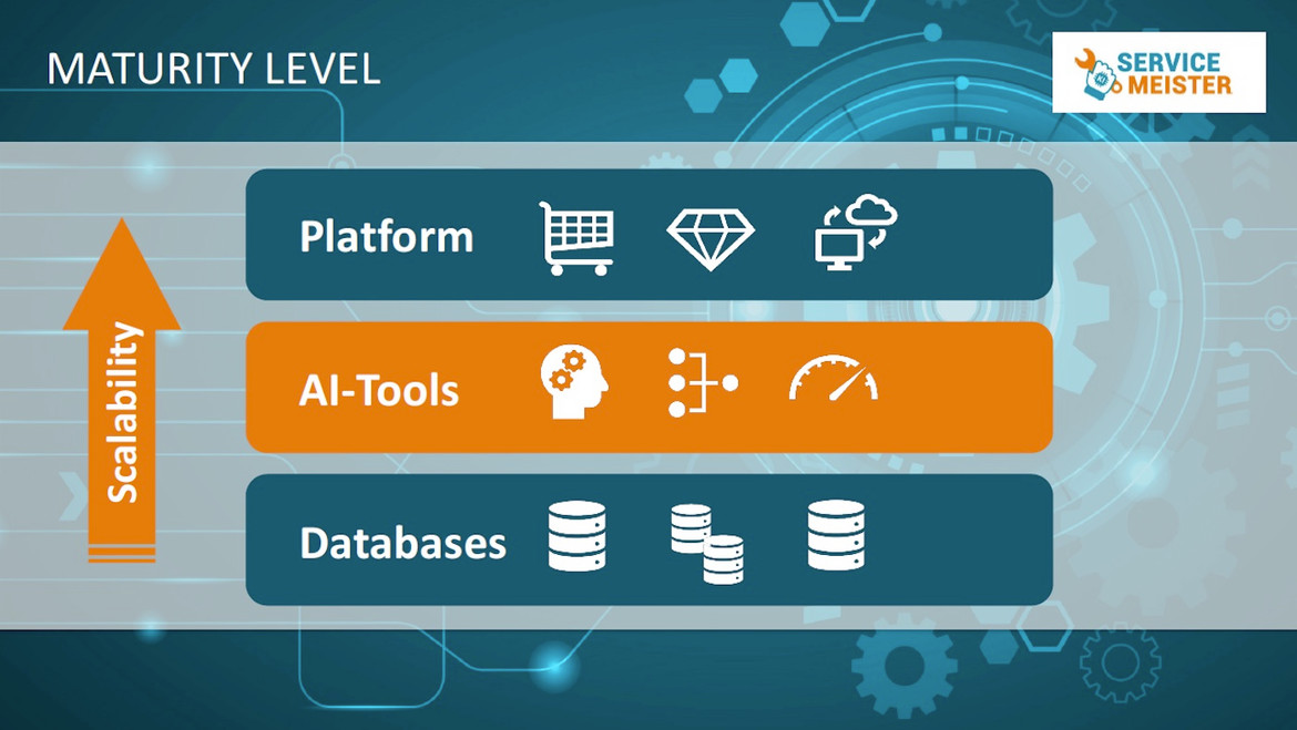 Fig. 2: Maturity Level and Functions and Processes within the Platform Approach Fig 2: Maturity Level and Functions and Processes within the Platform Approach