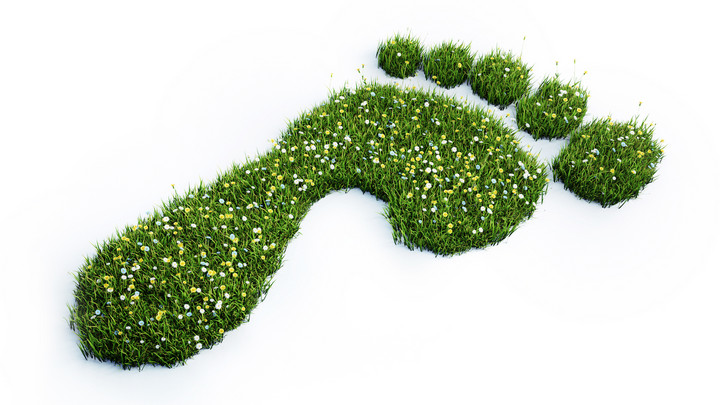 Sustainability Reporting: dotBERLIN’s Journey to More Sustainability