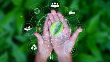 Harmonizing Digitalization and Sustainability: Perceptions from eco Surveys