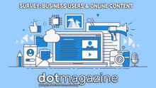 Business Users & Online Content: Survey