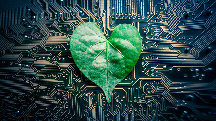 The "Green" Factor: Sustainable Data Centers in the Era of Digitalization
