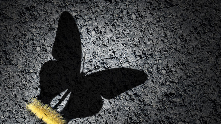 Value-Based Management of a Company and Digital Transformation