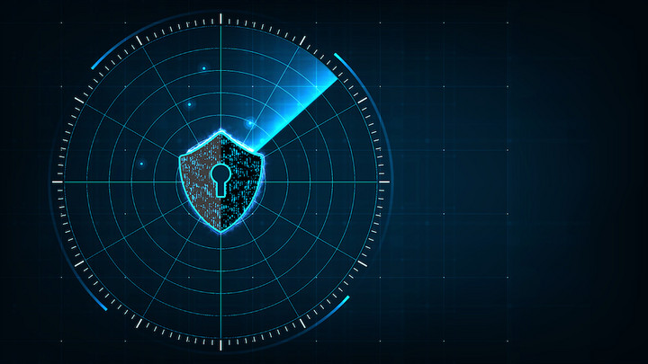 How Far Should the State Be Allowed to Go for the Purposes of Digital Security?