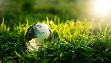 Digitalization & Sustainability - Call for Contributions