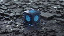 Confidential AI: A New Safe Space for AI Models