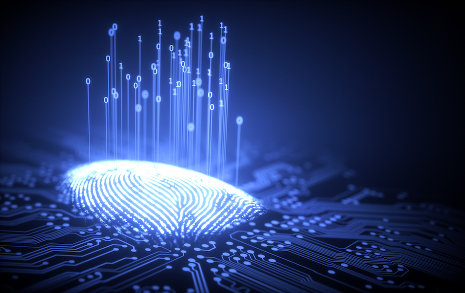 digital fingerprint