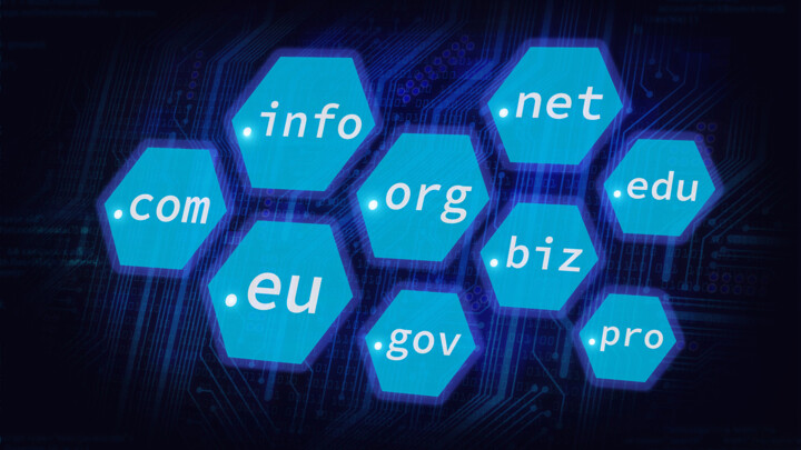 A Protective Shield for IT Infrastructure: Your Own Top-Level Domain-web