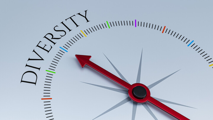 Diversity as a superpower: how our international team makes Ynvolve thrive-web